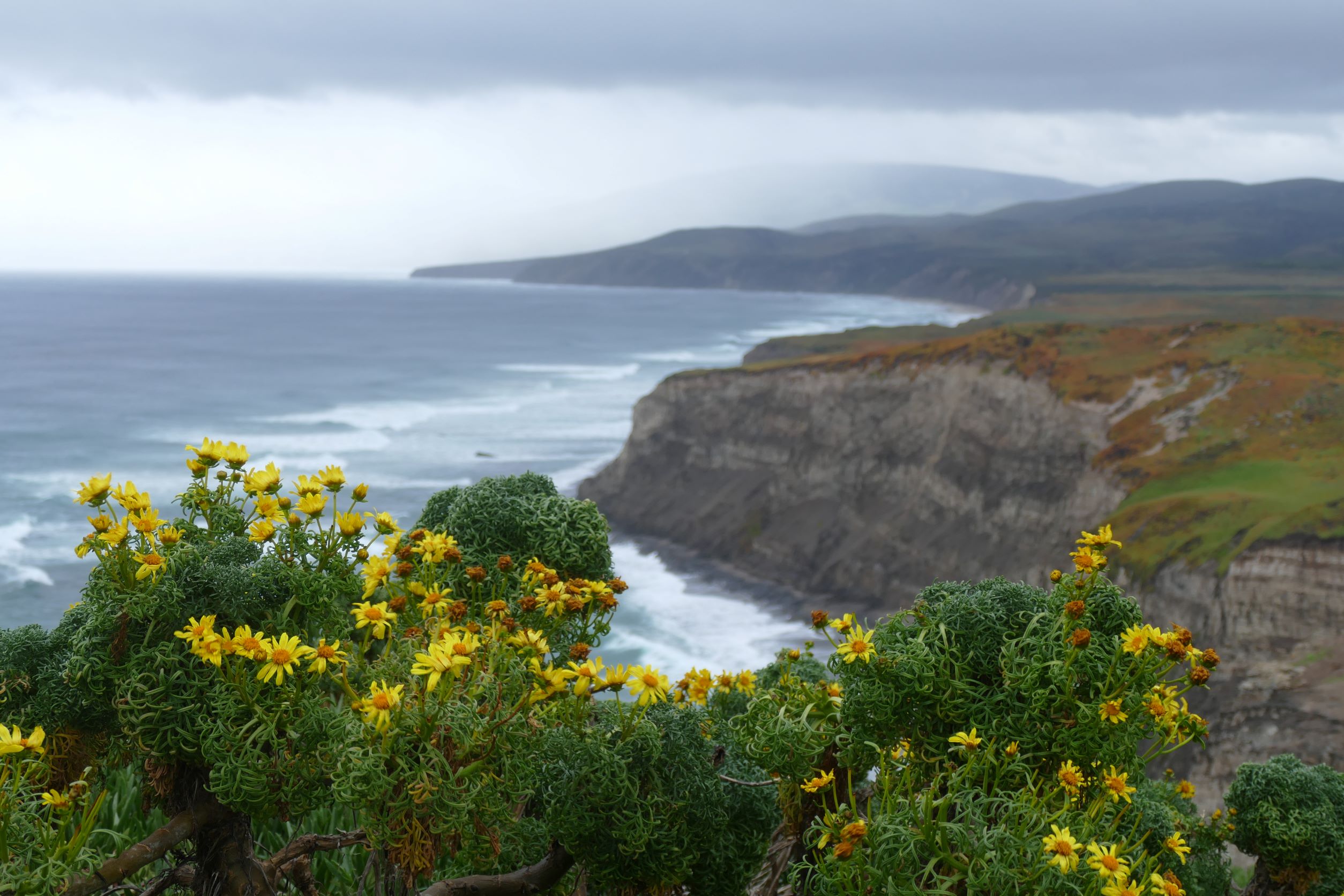 Dangermond Preserve Cliffline