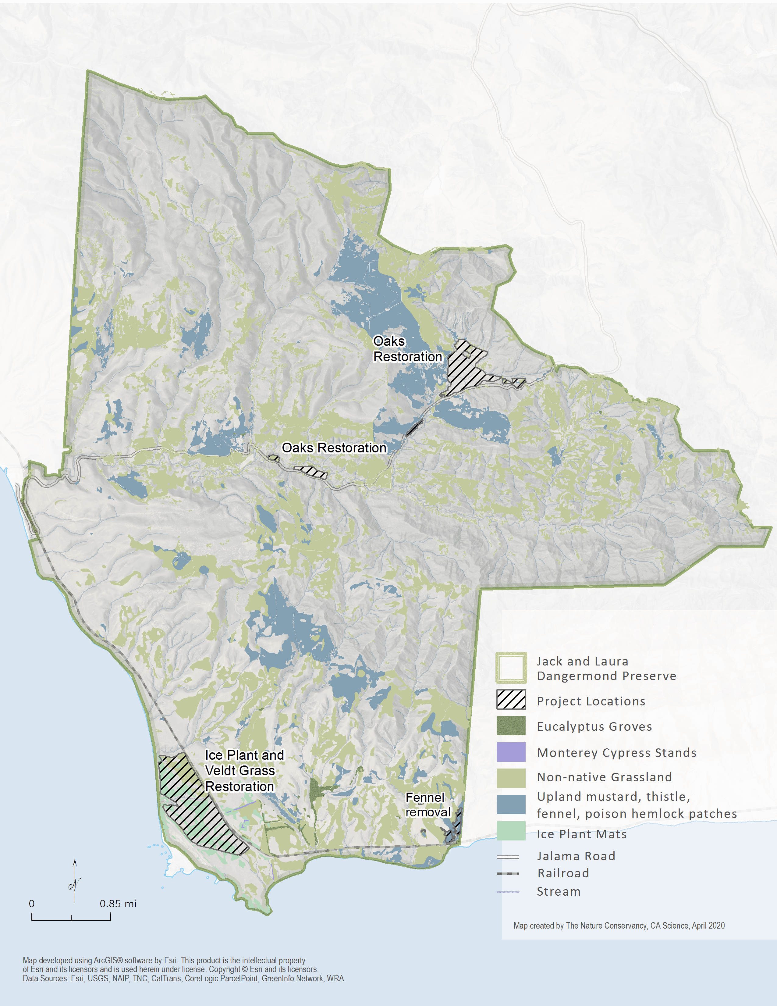 Dangermond Preserve Invasive Plant Species Action Plan.