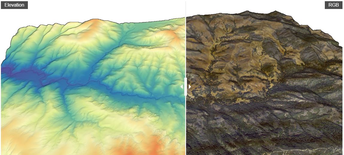 Elevation and Color Lidar of the Dangermond Preserve.